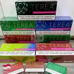 TEREA 煙彈 亞洲印尼版 IQOS ILUMA 主機專用 整條10包 印尼原裝正品