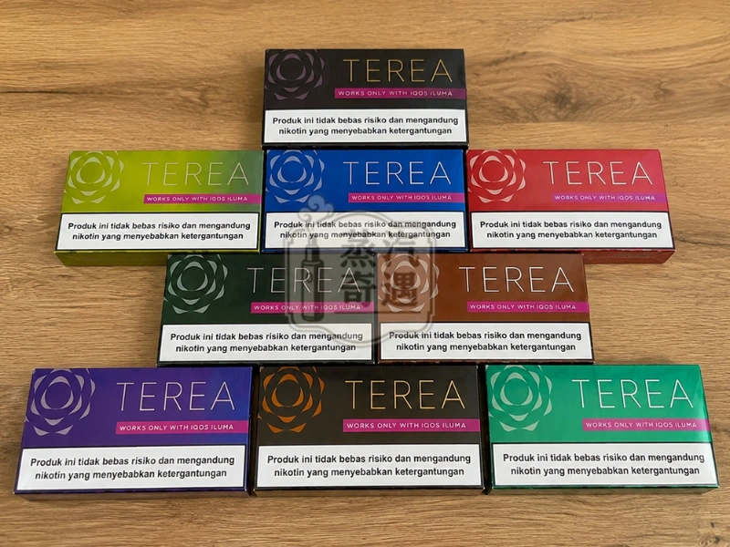 TEREA 煙彈 亞洲印尼版 IQOS ILUMA 主機專用 整條10包 印尼原裝正品