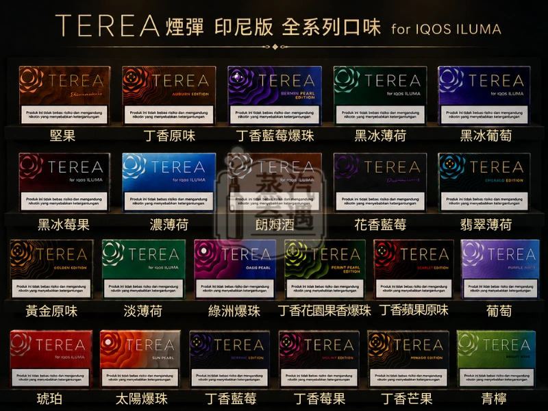 TEREA 煙彈 亞洲印尼版 IQOS ILUMA 主機專用 整條10包 印尼原裝正品